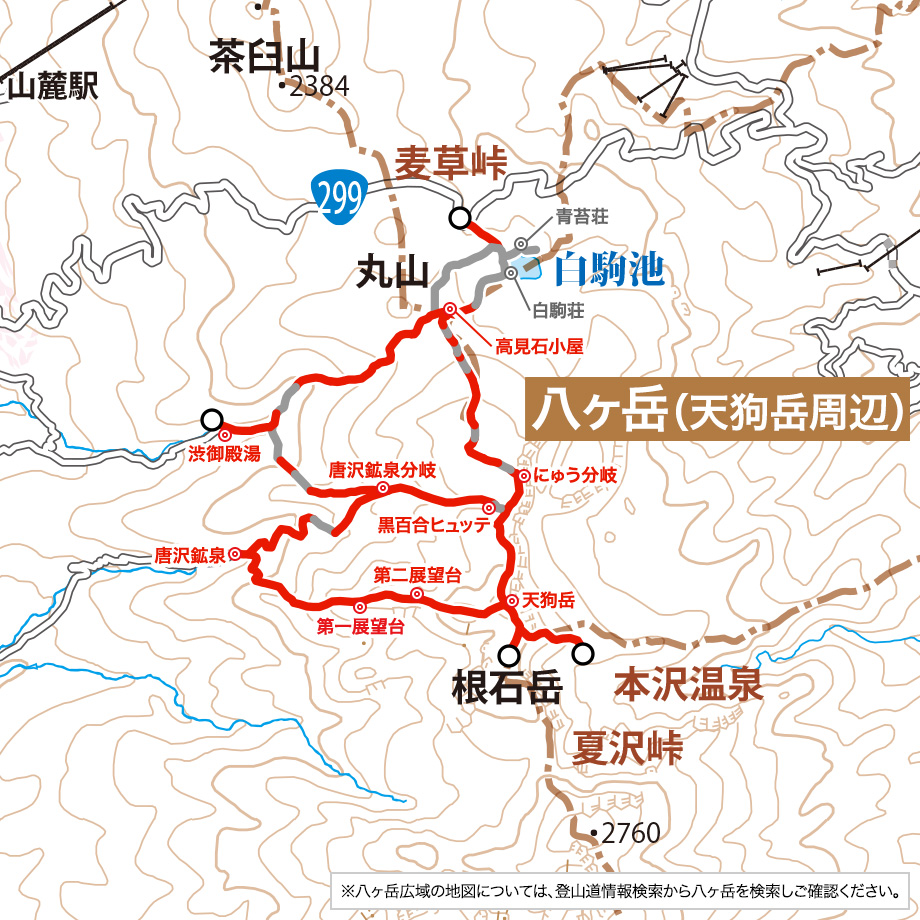 八ヶ岳(天狗岳周辺)