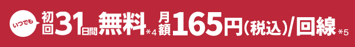 いつでも初回31日間無料*1 !月額165円(税込)/回線*2