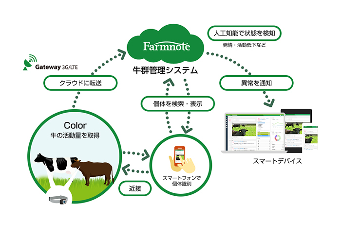 「Farmnote Color」とは