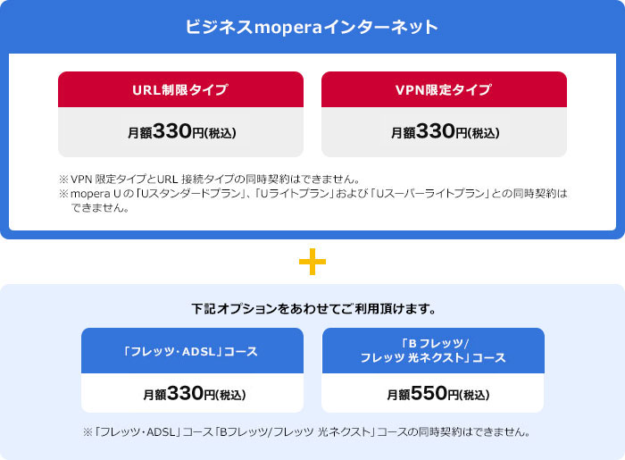 URL制限タイプ/VPN限定タイプ オプション