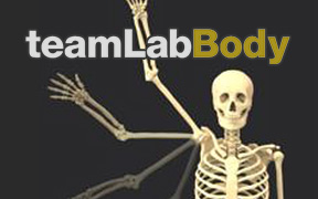 teamLabBody