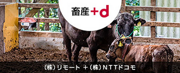 和牛繁殖をイノベートした「+d」