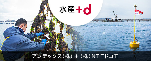 広大な海の「見える化」に挑戦する「+d」