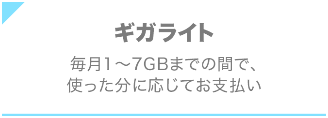 ギガライト 毎月1～7GBまでの間で、使った分に応じてお支払い