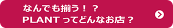 PLANTってどんなお店？