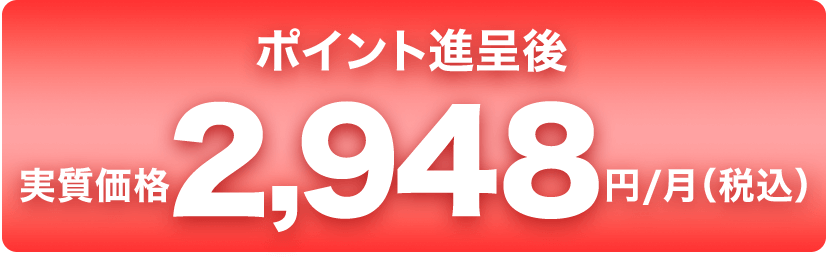 ポイント進呈後実質価格2,948円/月（税込）