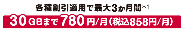 各種割引適用で最大3か月間*1 30GBまで780円／月（税込858円／月）