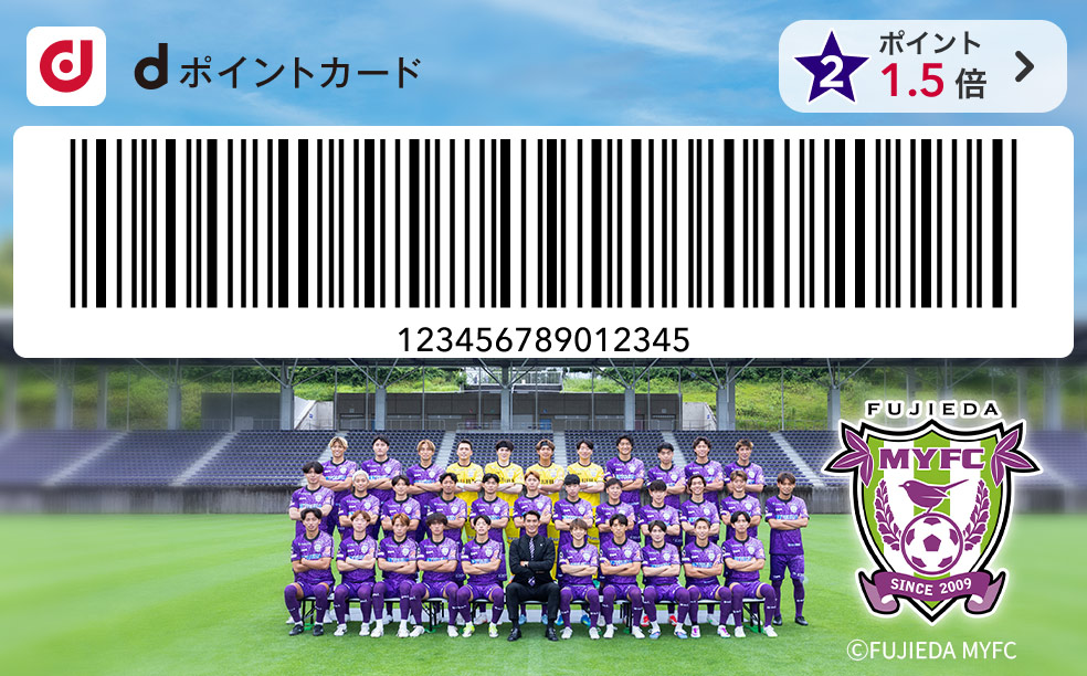 藤枝MYFC デザイン（選手集合写真）