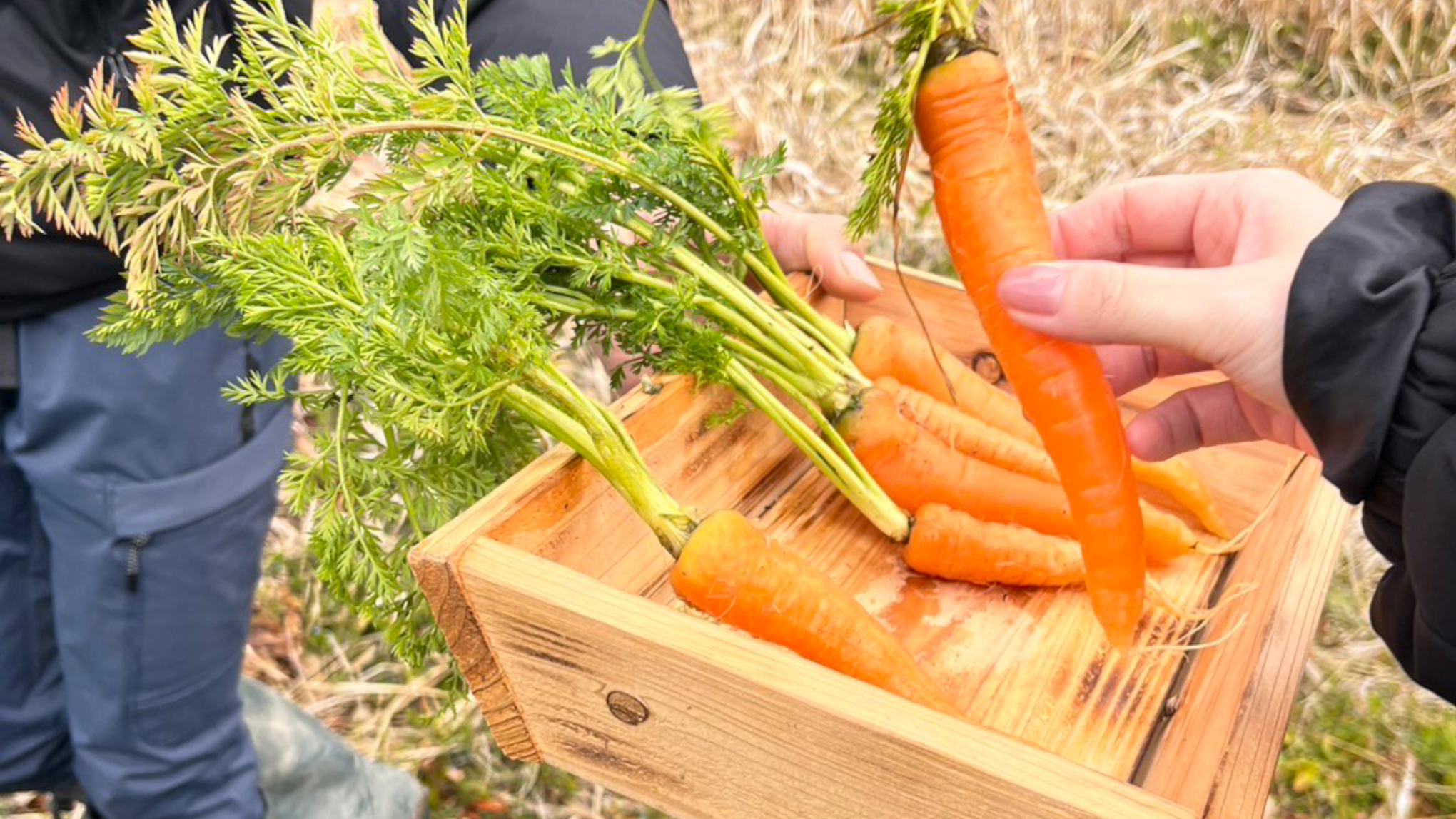 食から考えるサステナビリティ ―農作業と調理体験―