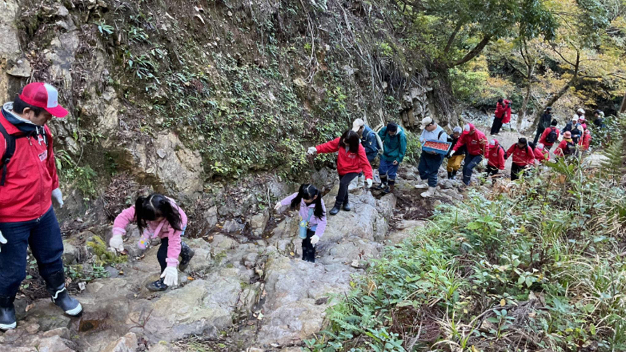 エチゼンダイモンジソウの生息する岩場までの険しい道のり
