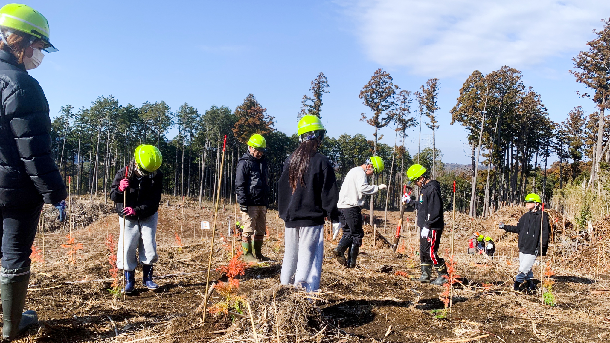 未来へつなぐ森づくり ― 台風被害からの森林再生。小学校最後の校外学習で植えた500本