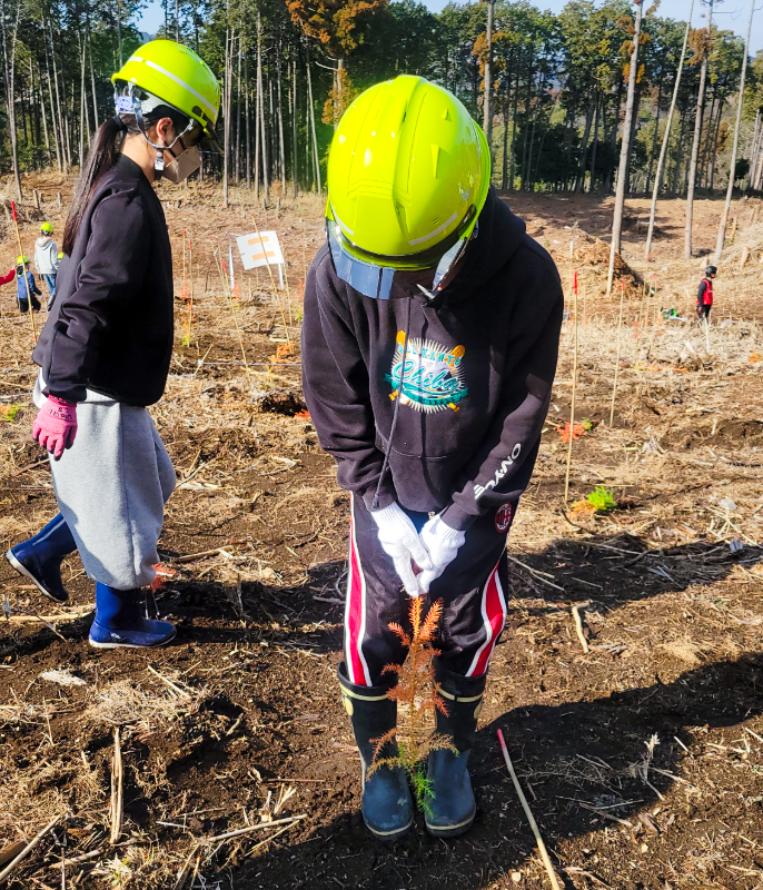 植樹のようす