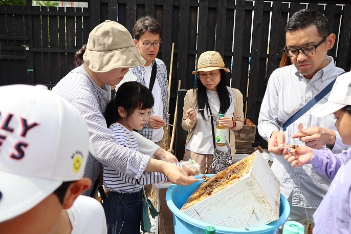 人々が巣箱から蜂蜜を食べる様子