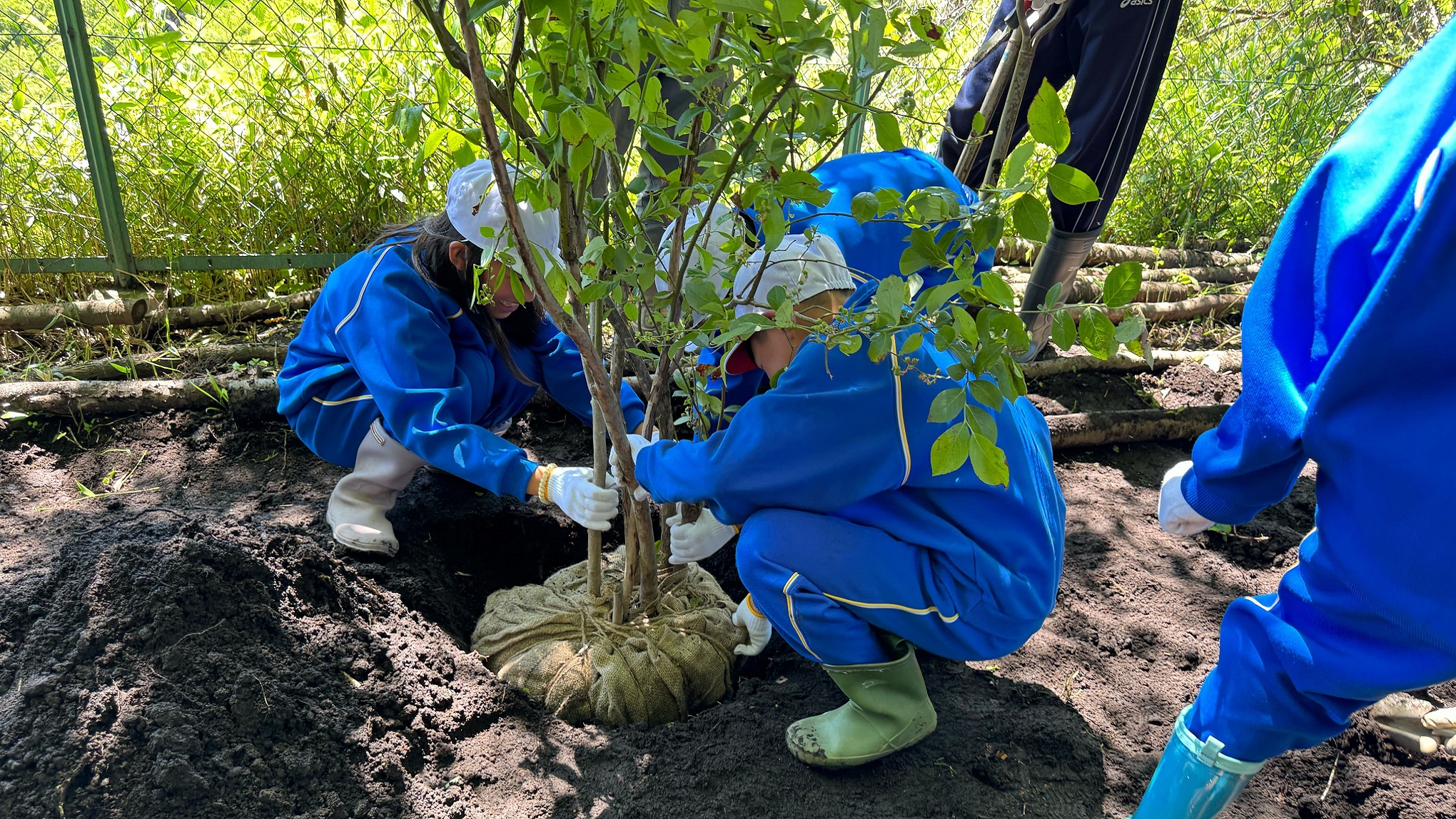 小学生と自然環境を学ぶ!ドコモ群馬の森で、地球の未来のために