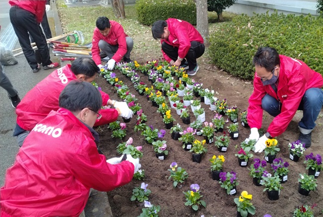 花植え