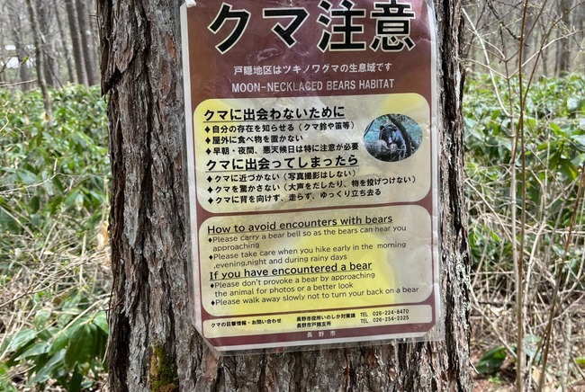くまの注意喚起
