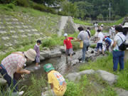 生態系観察(たかき清流館“水辺の楽校”)