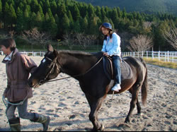 乗馬体験及び馬のお手入れ体験