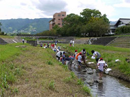 川の生き物探し