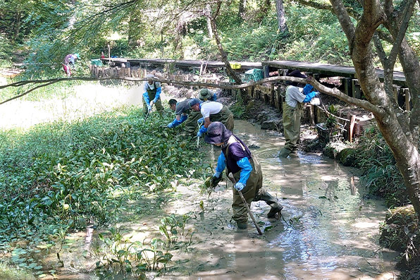 【静岡県】ドコモ浜北の森（生物多様性保全活動）のイメージ