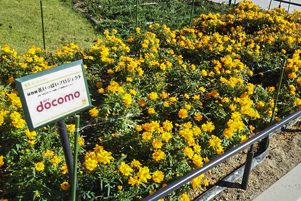 【愛知県】東山植物園 花いっぱいプロジェクトへの参加