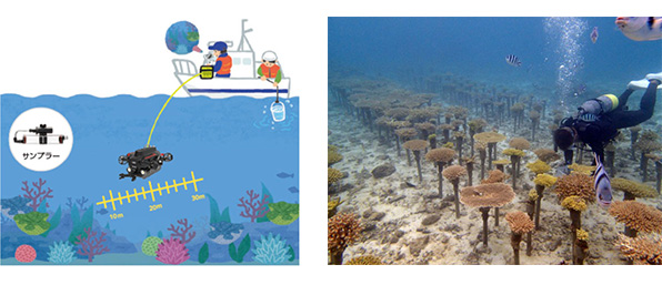 水中ドローンを活用したサンゴ生態調査支援の取り組みの画像