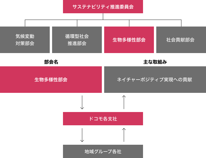 サステナビリティ推進委員会ガバナンス図