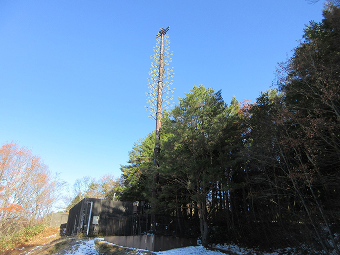 木に似せた鉄塔の写真