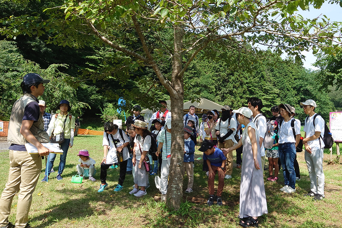 いきもの探しの始まりの様子