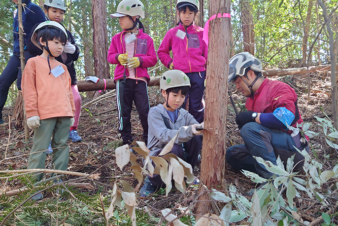 木こり体験