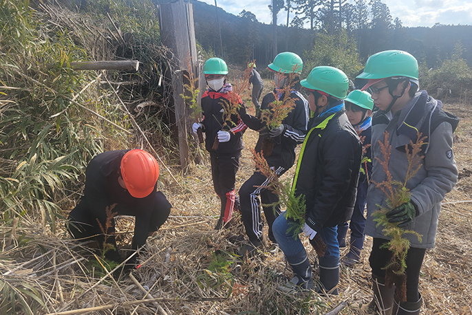 植林の様子