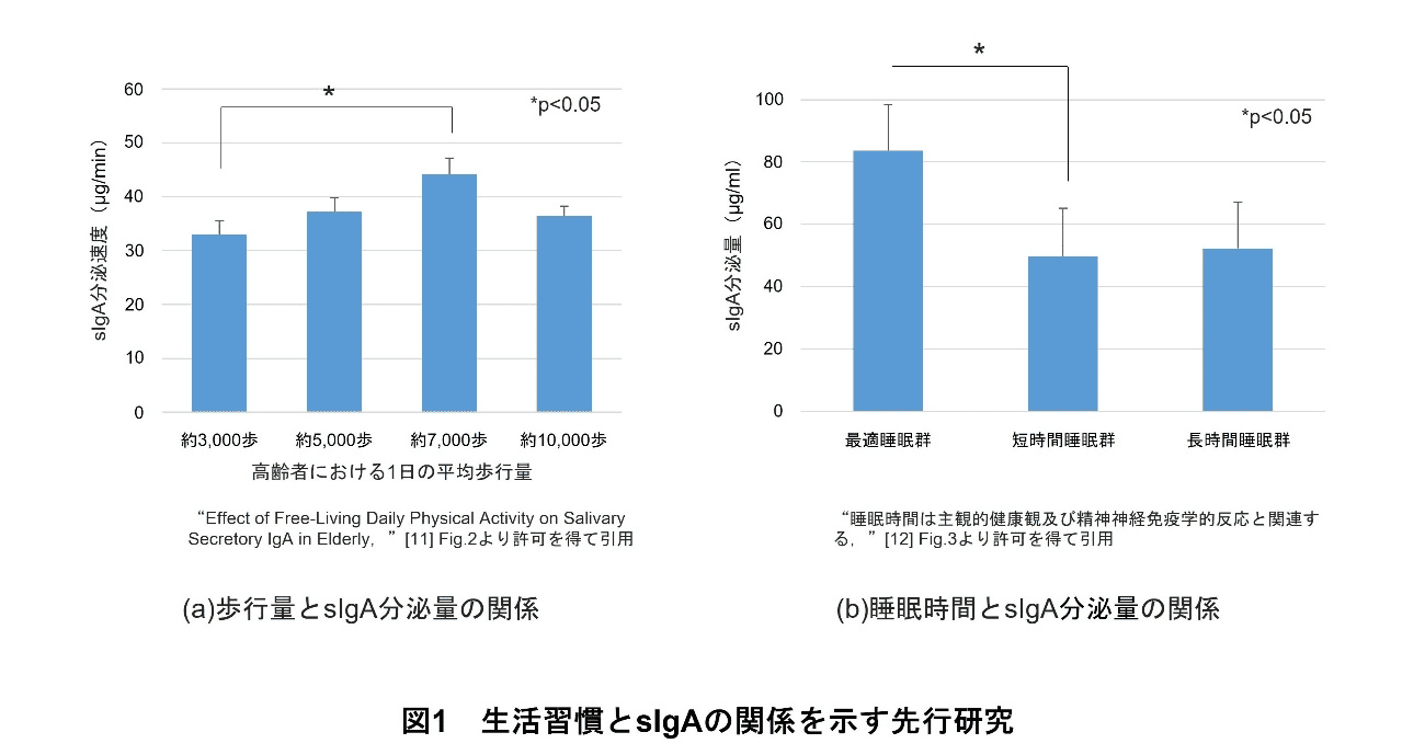 図1 生活習慣とsIgAの関係を示す先行研究