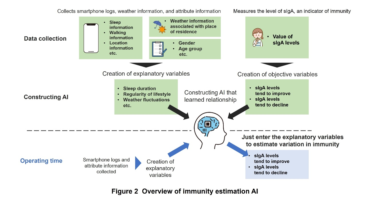 Figure 2 Overview of immunity estimation AI