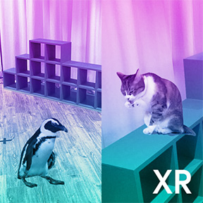Image of Mixed Reality Animals - Volumetric Video x Magic Leap 2