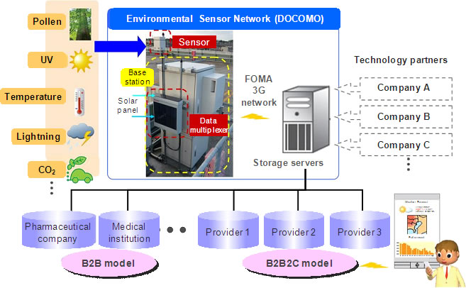 Environmental Sensor Network