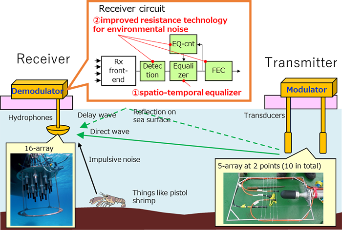 Fig. 1 Diagram of field experiments