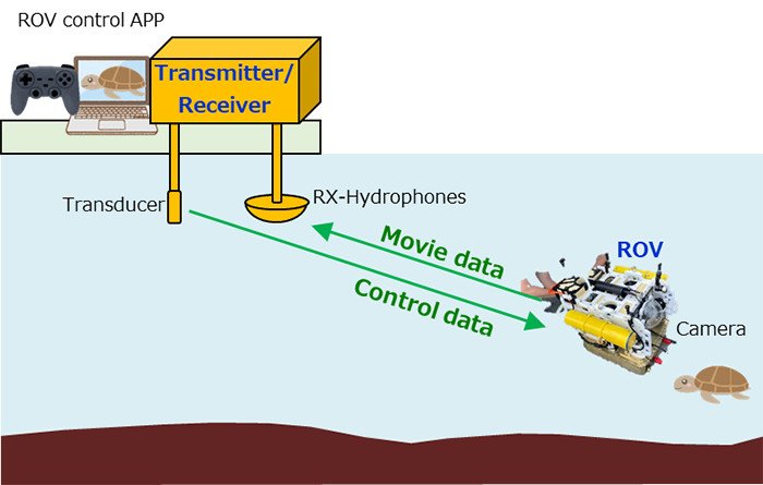 Fig. 3 System of wireless ROV