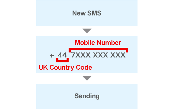 Image of To an overseas mobile carrier