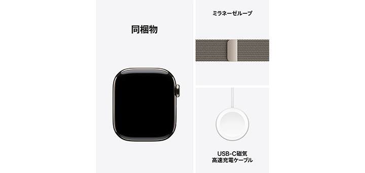 Apple Watch series 10 42mm ナチュラルチタニウムケースとナチュラルミラネーゼループ