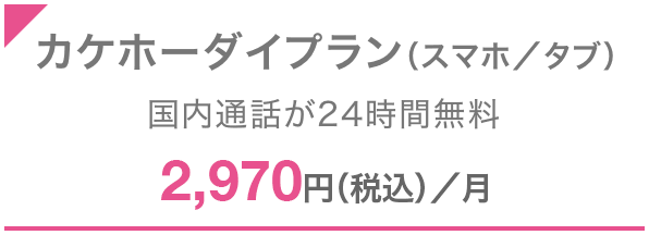 カケホーダイプラン（スマホ／タブ） 国内通話が24時間無料 2,970円（税込）／月