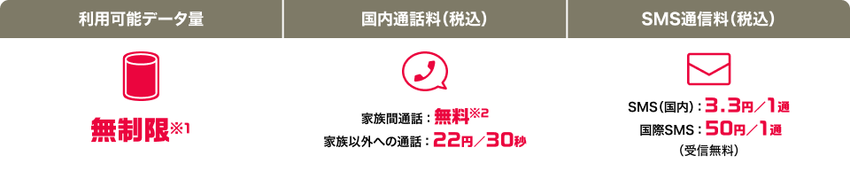 利用可能データ量 無制限*1 国内通話料(税込) 家族間通話:無料*2 家族以外への通話:22円/30秒 SMS通信料(税込)SMS(国内):3.3円/1通 国際SMS:50円/1通(受信無料)