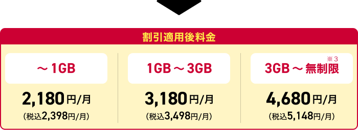 ドコモ MAX 割引適用内訳2