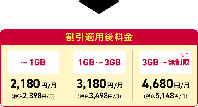 ドコモ MAX 割引適用内訳2