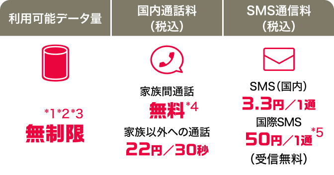 利用可能データ量 無制限*1 国内通話料(税込) 家族間通話:無料*2 家族以外への通話:22円/30秒 SMS通信料(税込)SMS(国内):3.3円/1通 国際SMS:50円/1通(受信無料)