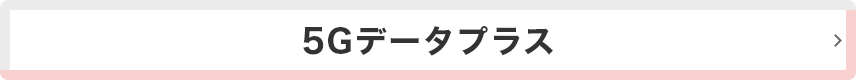 5Gデータプラス