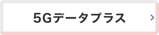 5Gデータプラス
