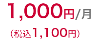 月額料金 1,000円（税込 1,100円）