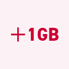 1GB追加オプション
