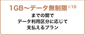 1GB～データ無制限 までの間でデータ利用区分に応じて支払えるプラン