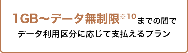 1GB～データ無制限 までの間でデータ利用区分に応じて支払えるプラン